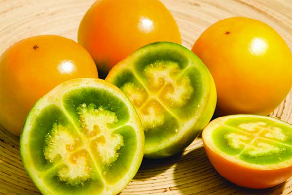 ルーロの果実は何に効くのですか？
