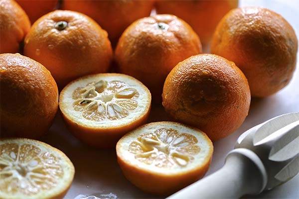 サワーオレンジで作るもの
