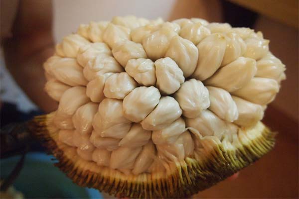 マラン果実の食べ方