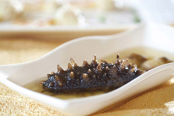 トレパンの蜂蜜に対する有用性