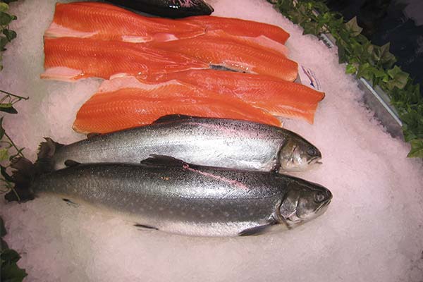 岩魚の塩焼きの方法