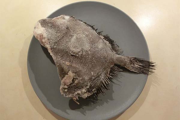病気のためのドリ魚