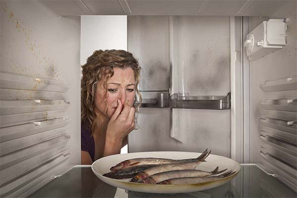 魚が腐っているかどうかは、どうやって見分けるのですか？