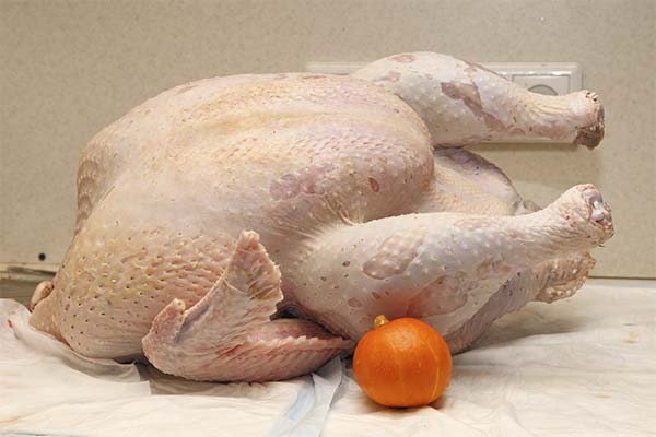 汚染された七面鳥の兆候