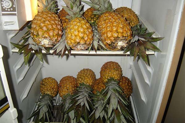 パイナップルの保存方法