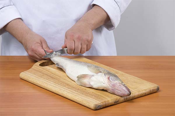 正しい魚の切り方