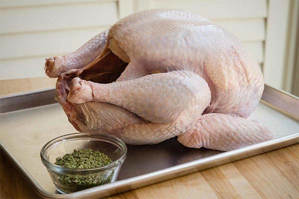 新鮮な七面鳥肉を購入する際の選び方