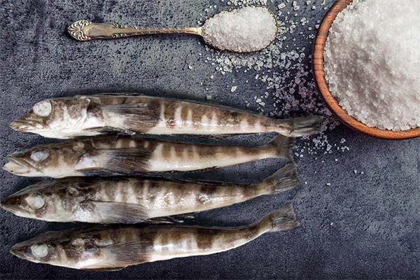 氷魚のためになること