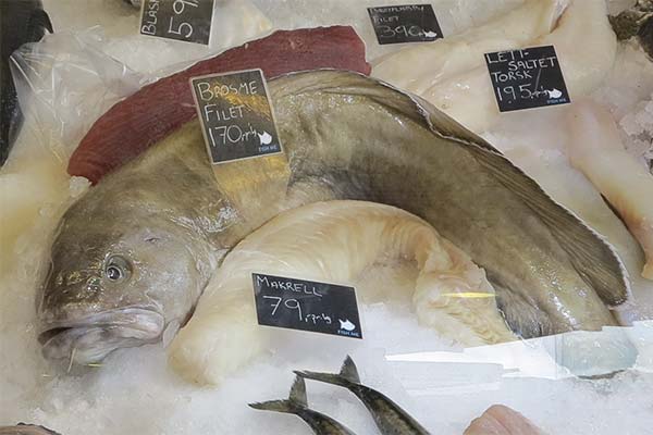 メネック魚の健康状態について教えてください。