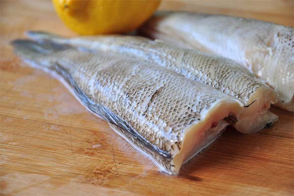 ノトセニア魚は何に良いの？