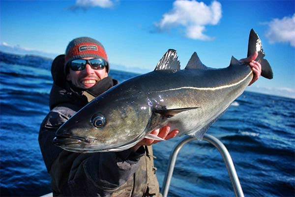 クアラルンプールの釣り方