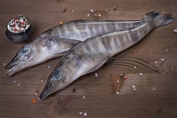 氷魚