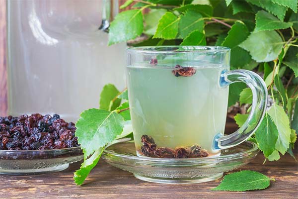 白樺樹液のサルタナと蜂蜜添え