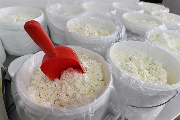 生豆腐を購入する際の選び方