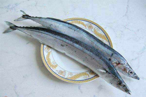サウリアが食べられますか