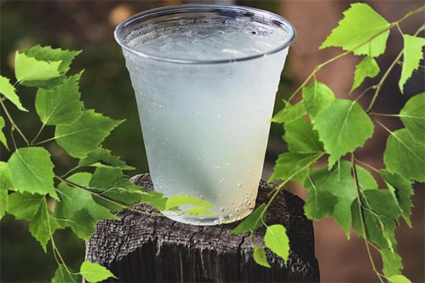 白樺樹液から作られたサモゴン