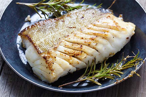 Coalfishの調理法