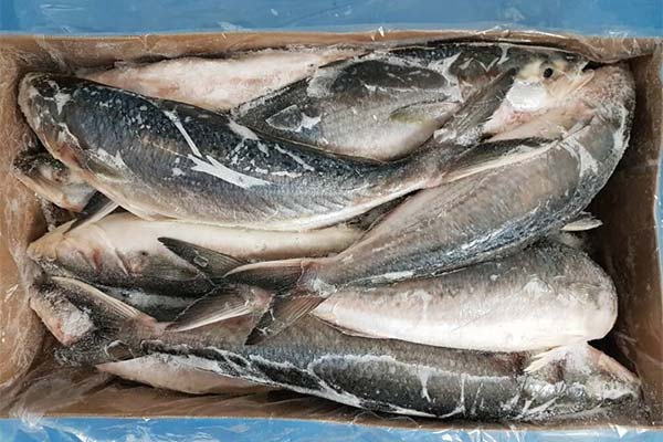 カハワイの選び方、保存方法について