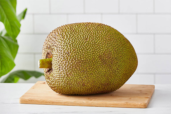 מה ניתן לבשל מג'קפruit